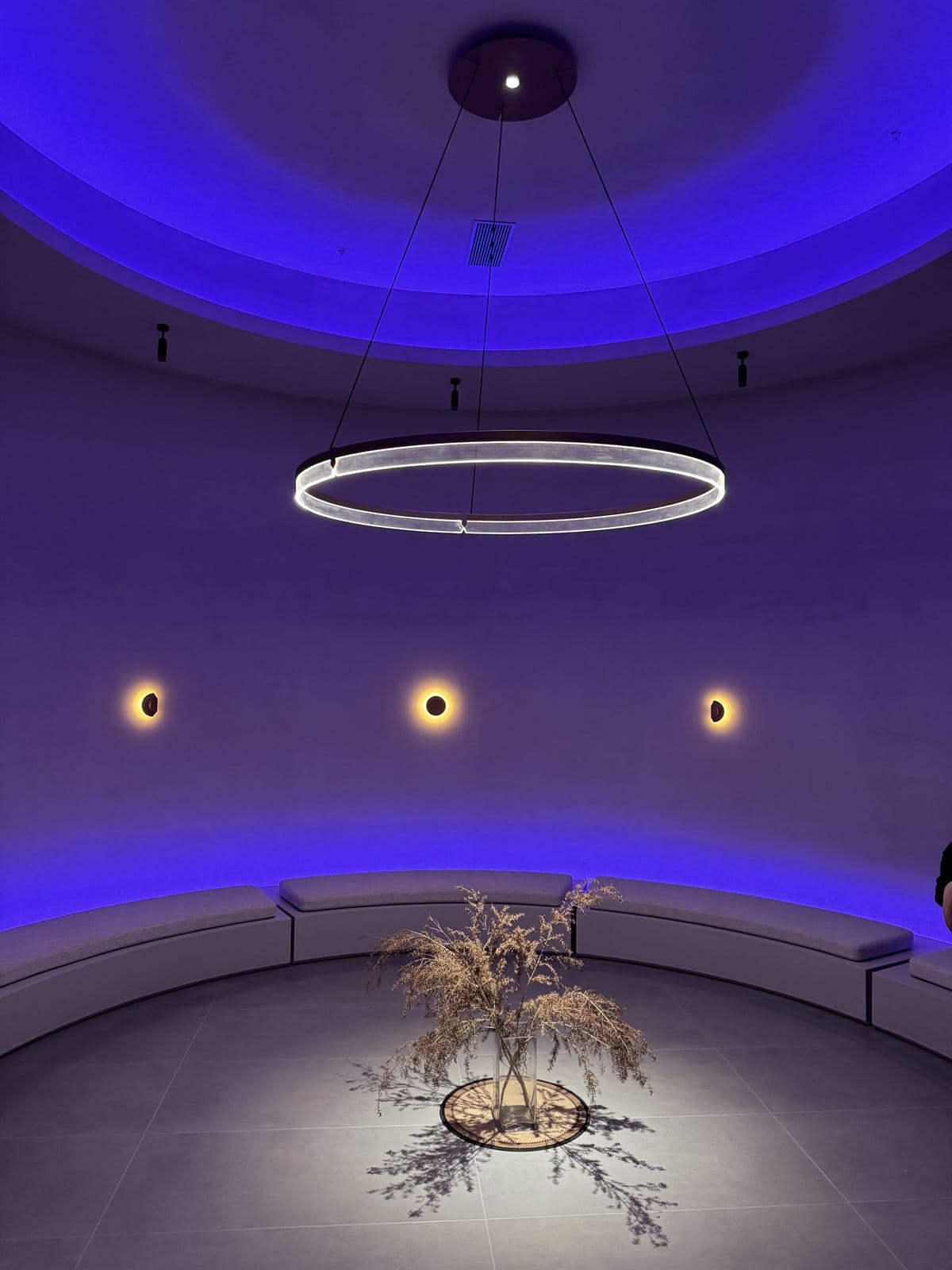 A circular room with purple ambient lighting and a large illuminated GUOCIO Halo ring chandelier, with three small glowing wall lights below